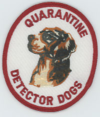 FOREIGN,AUSTRALIA,QUARANTINE DETECTOR K-9 1